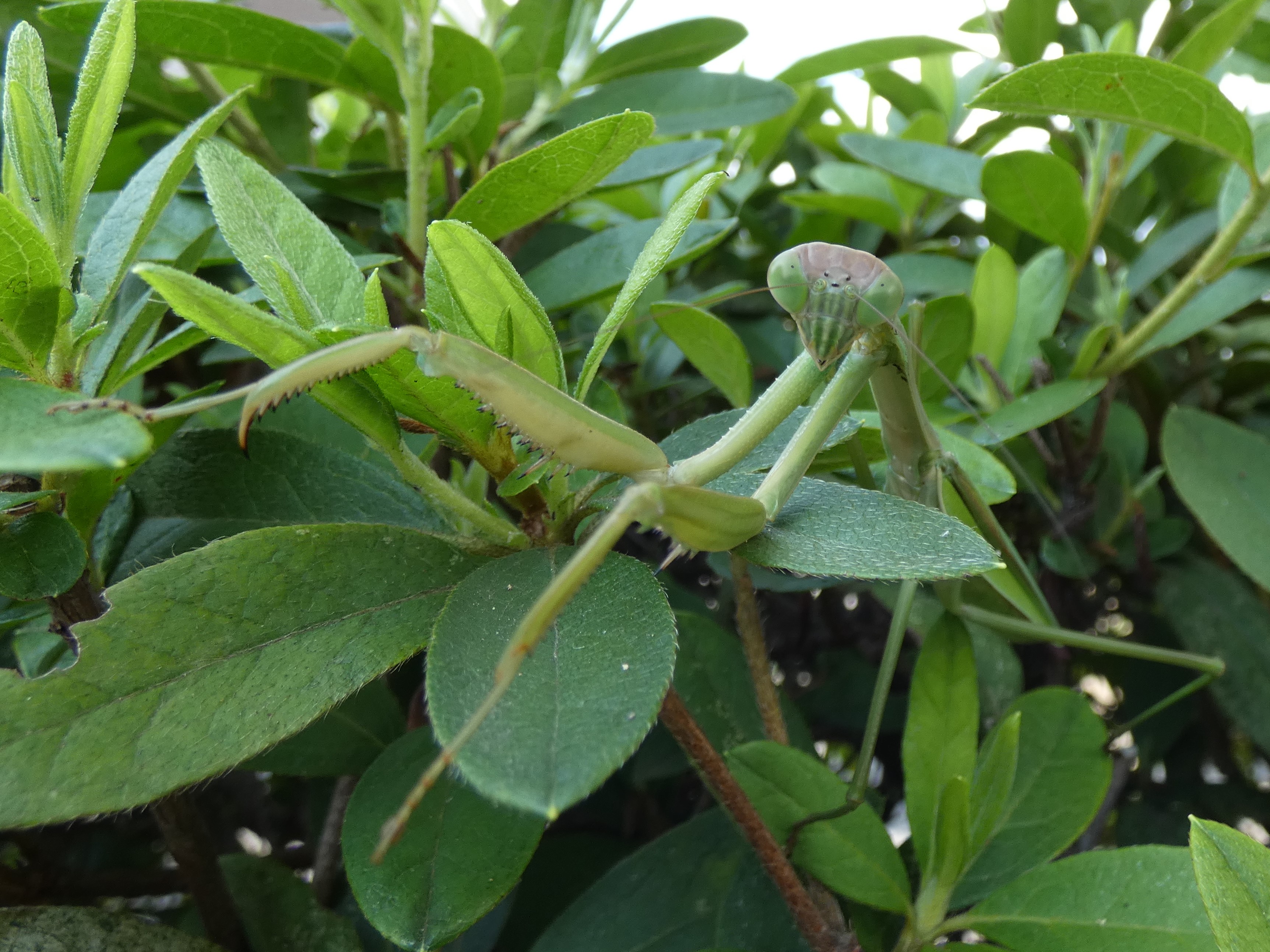 photo_6